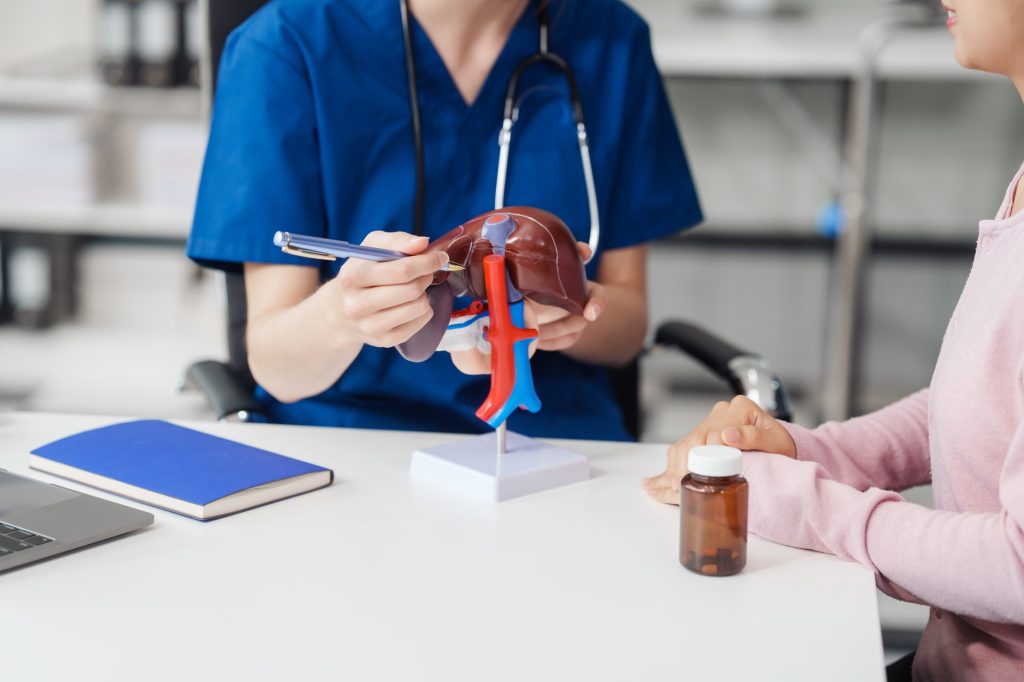 Caucasian liver professional female doctor explain to asian female patient using human liver model